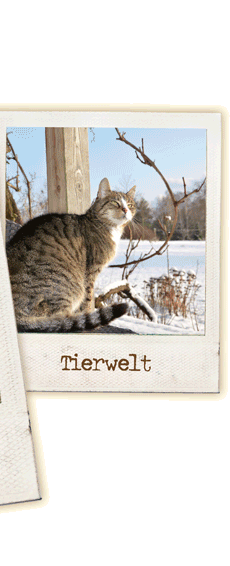 Tierwelt